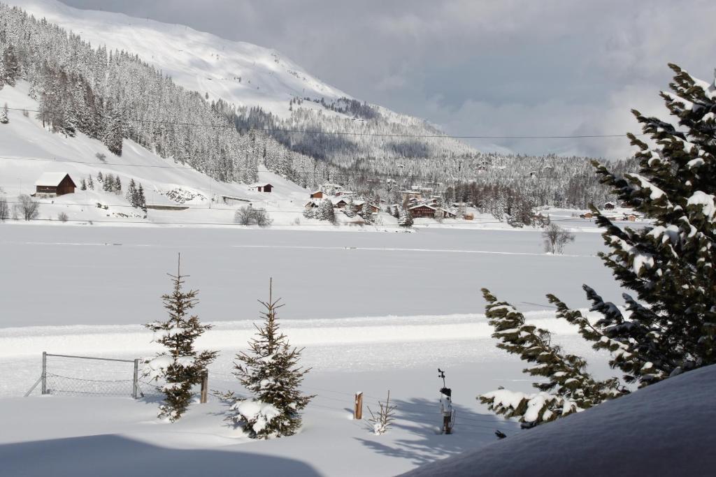 B&B Haus Im Sand Davos Rum bild
